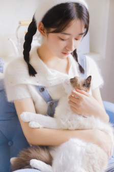 蝴蝶飞飞